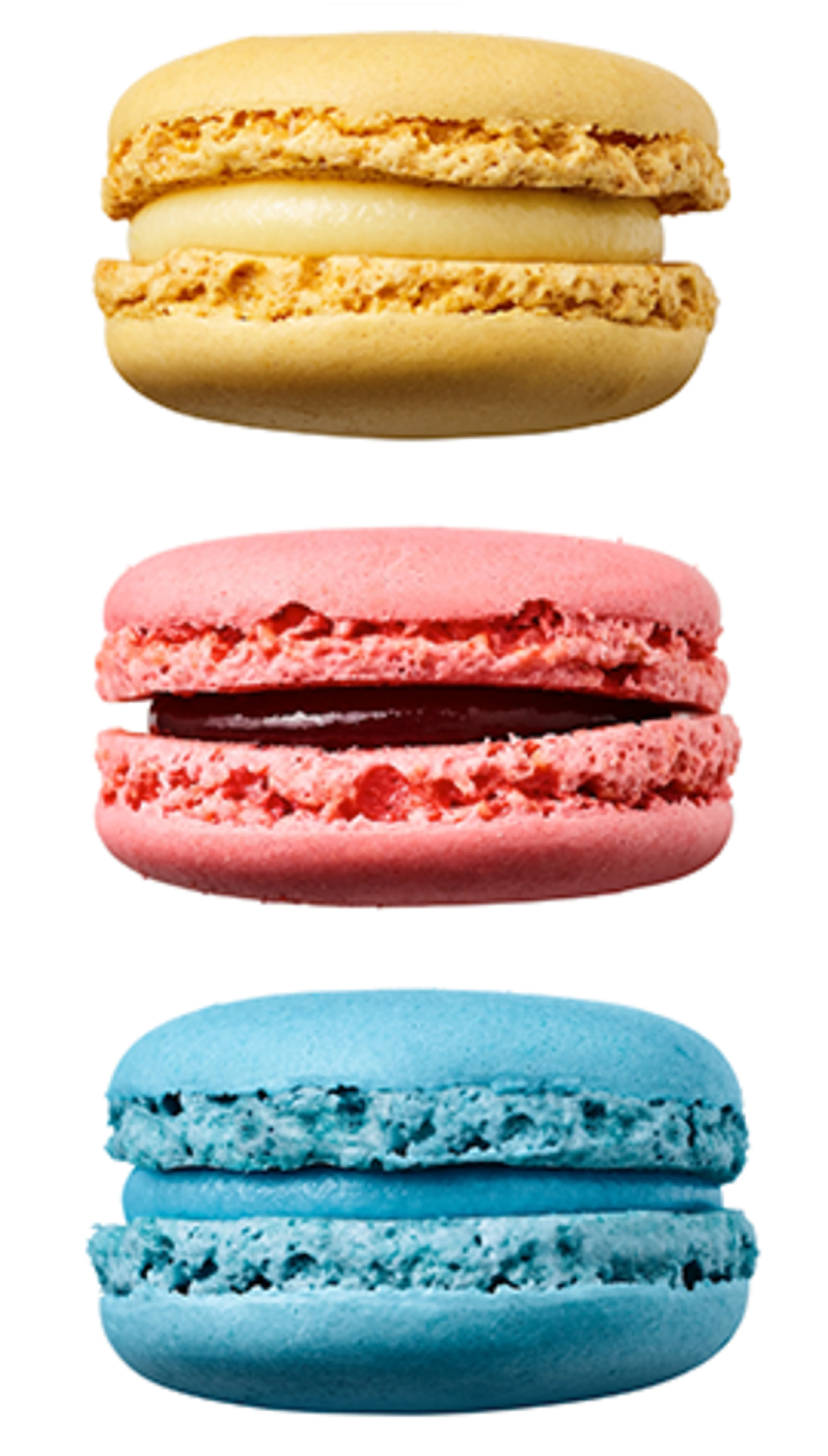 Oterra- Macaroons