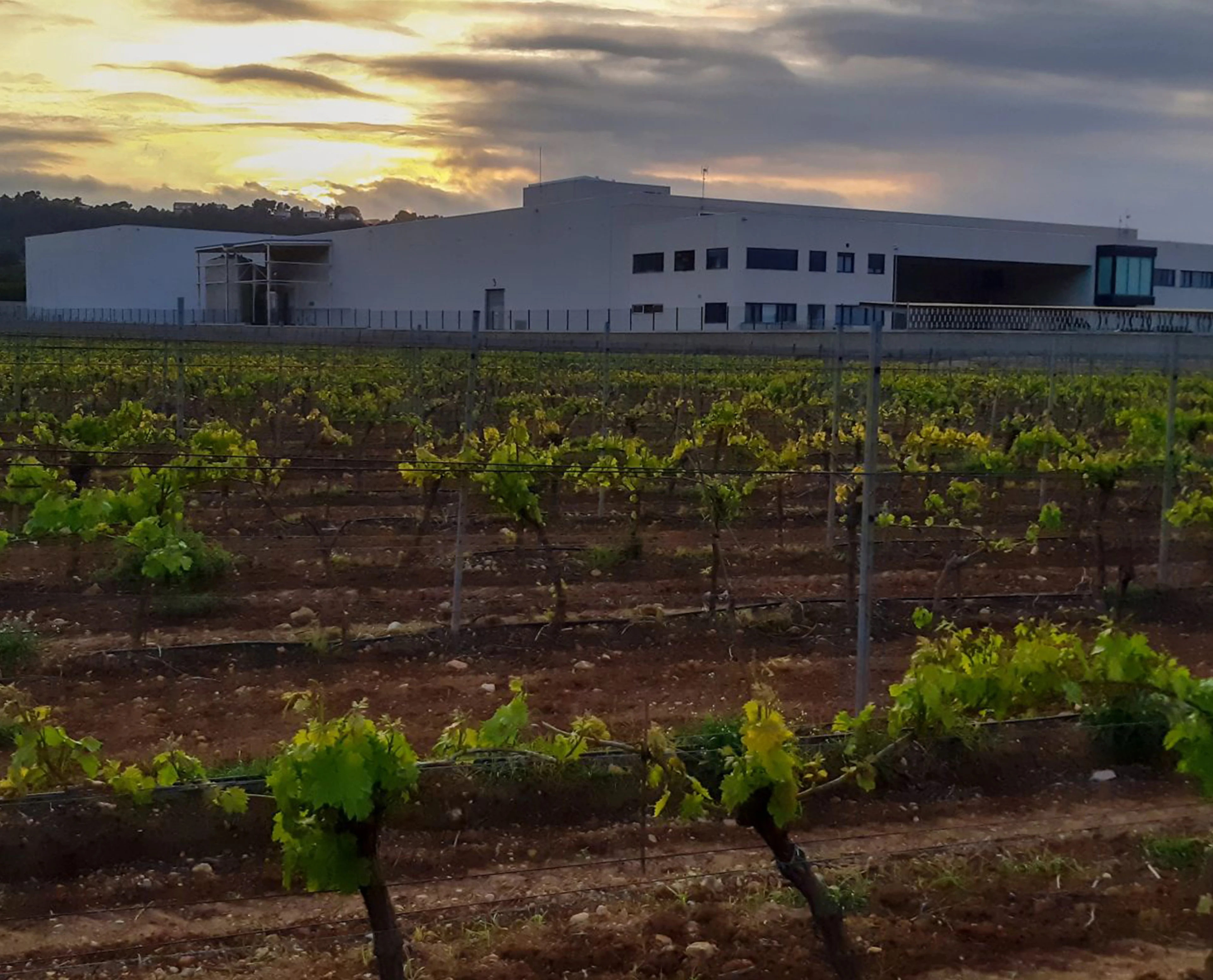 HEADER-ARCH-News Story 4 SECNA