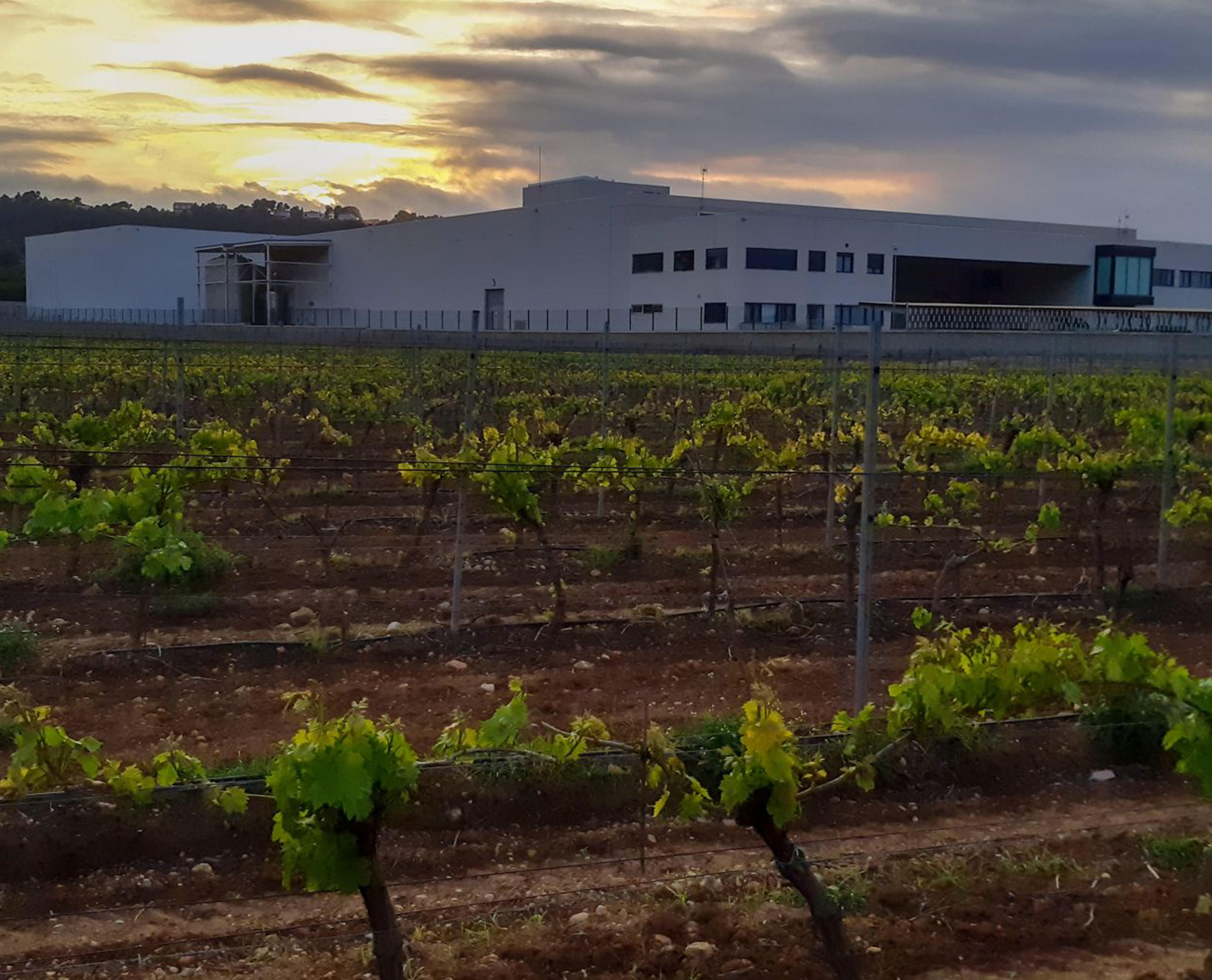 Secna Chr. Hansen Natural Colors acquires SECNA Natural Ingredients Group S.L.