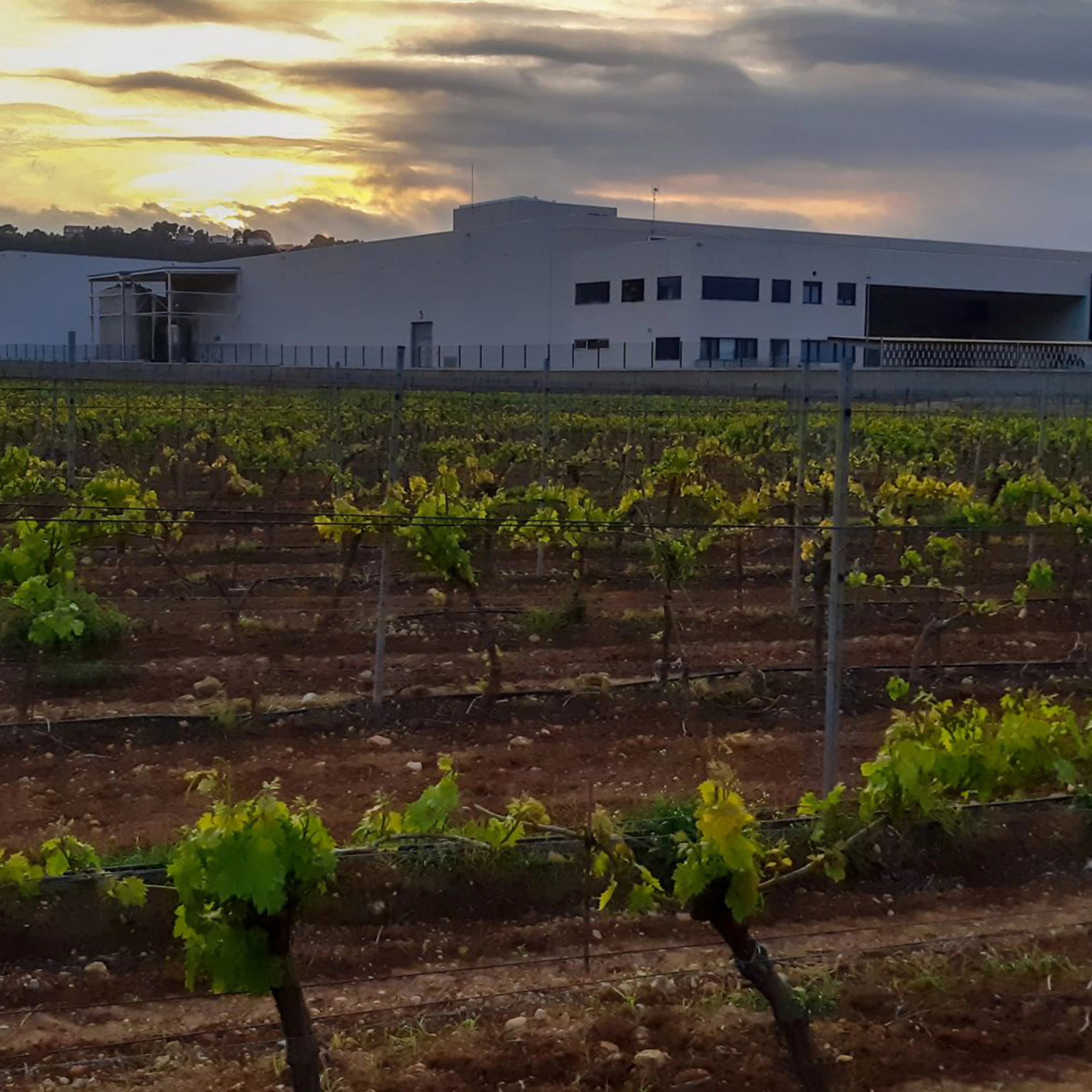 HEADER-ARCH-News Story 4 SECNA