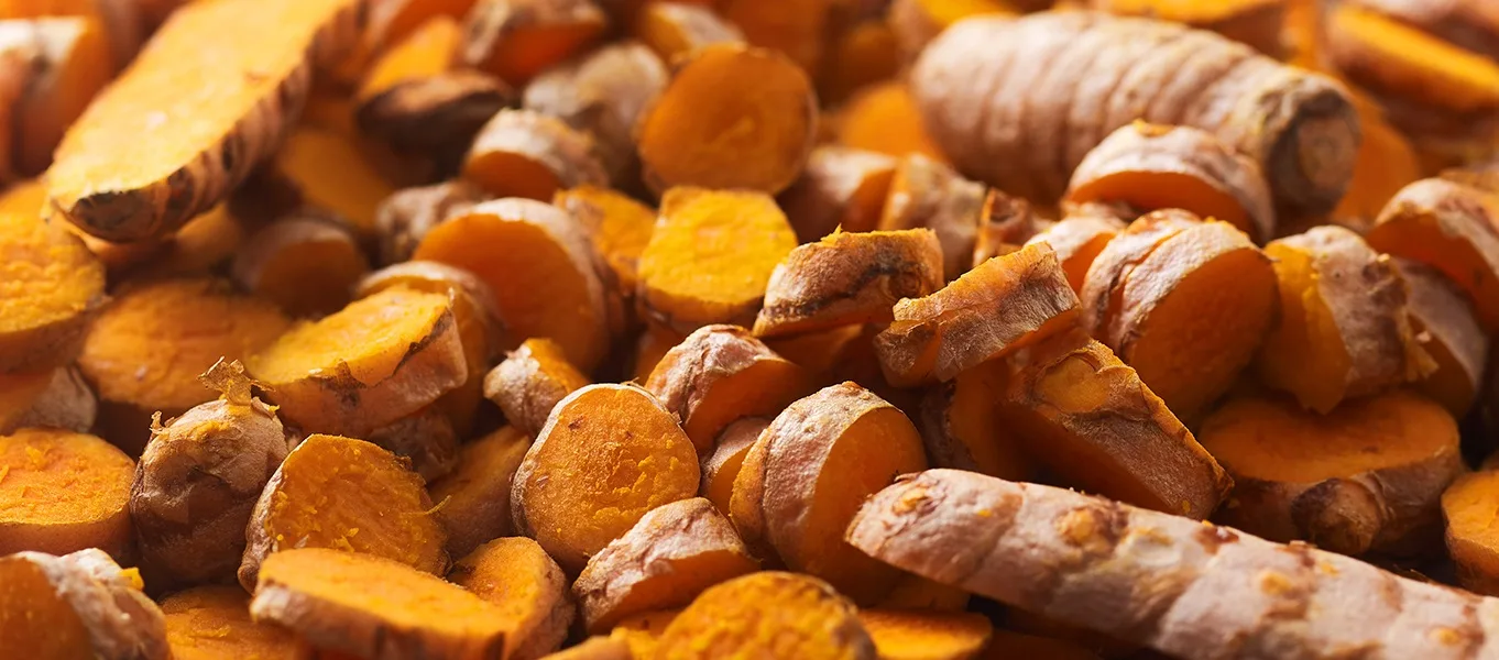 Oterra-turmeric for natural colors