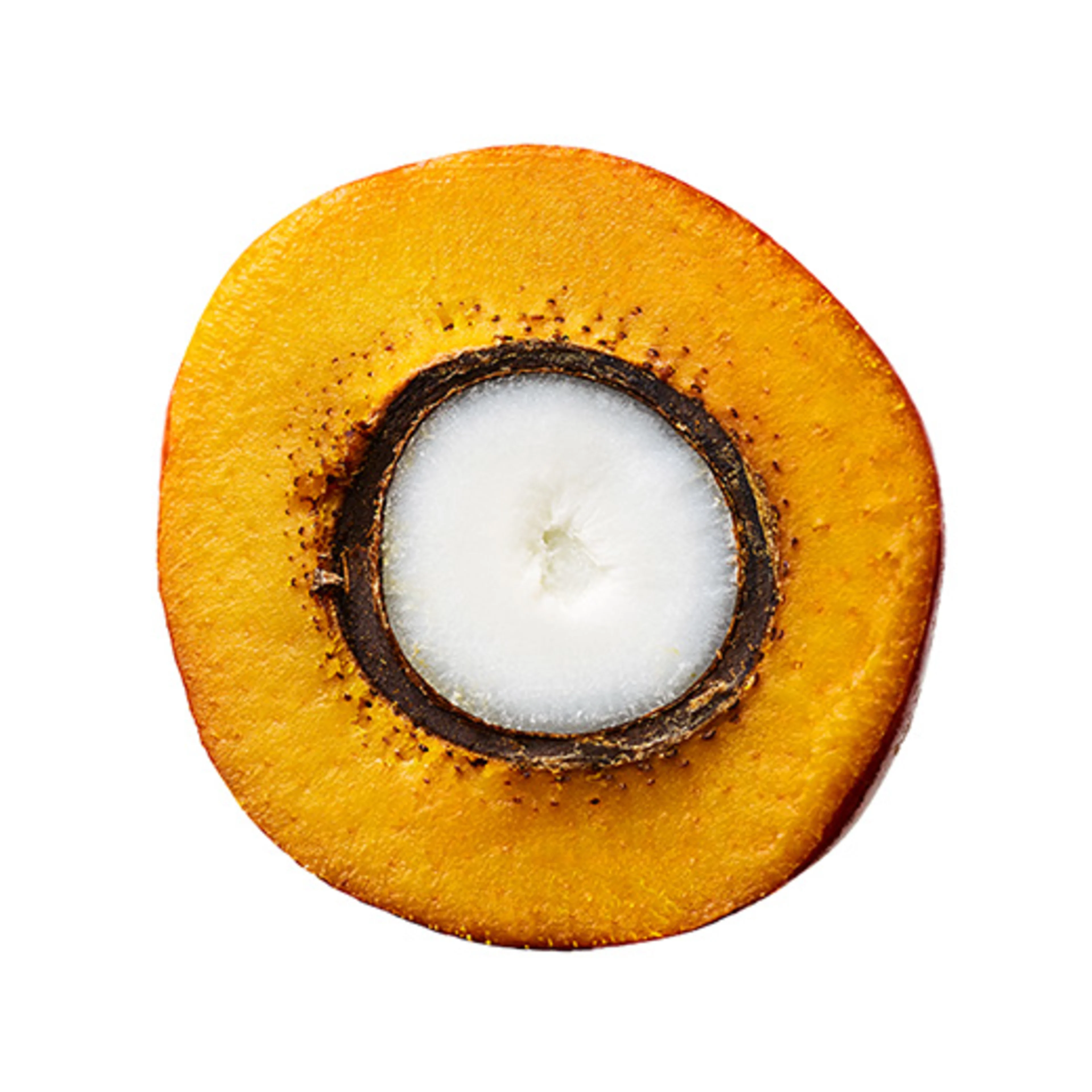 palm fruit cut open