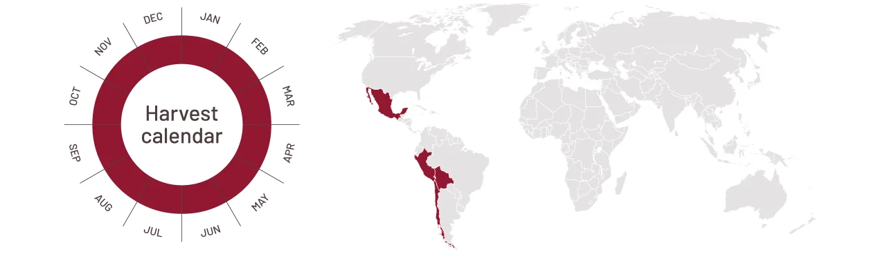 Harvest calendar cochineal