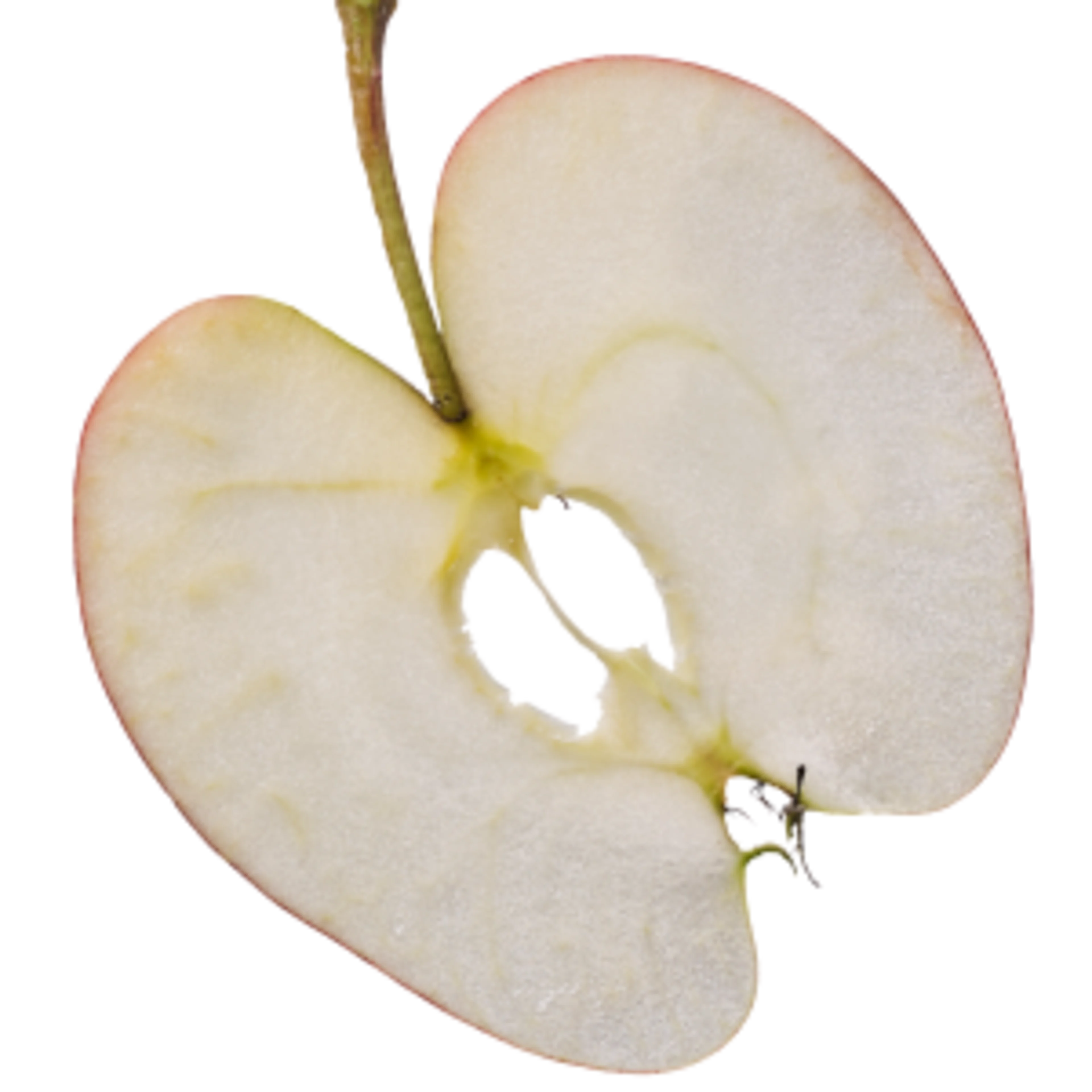 Oterra-raw-apple-co-0118