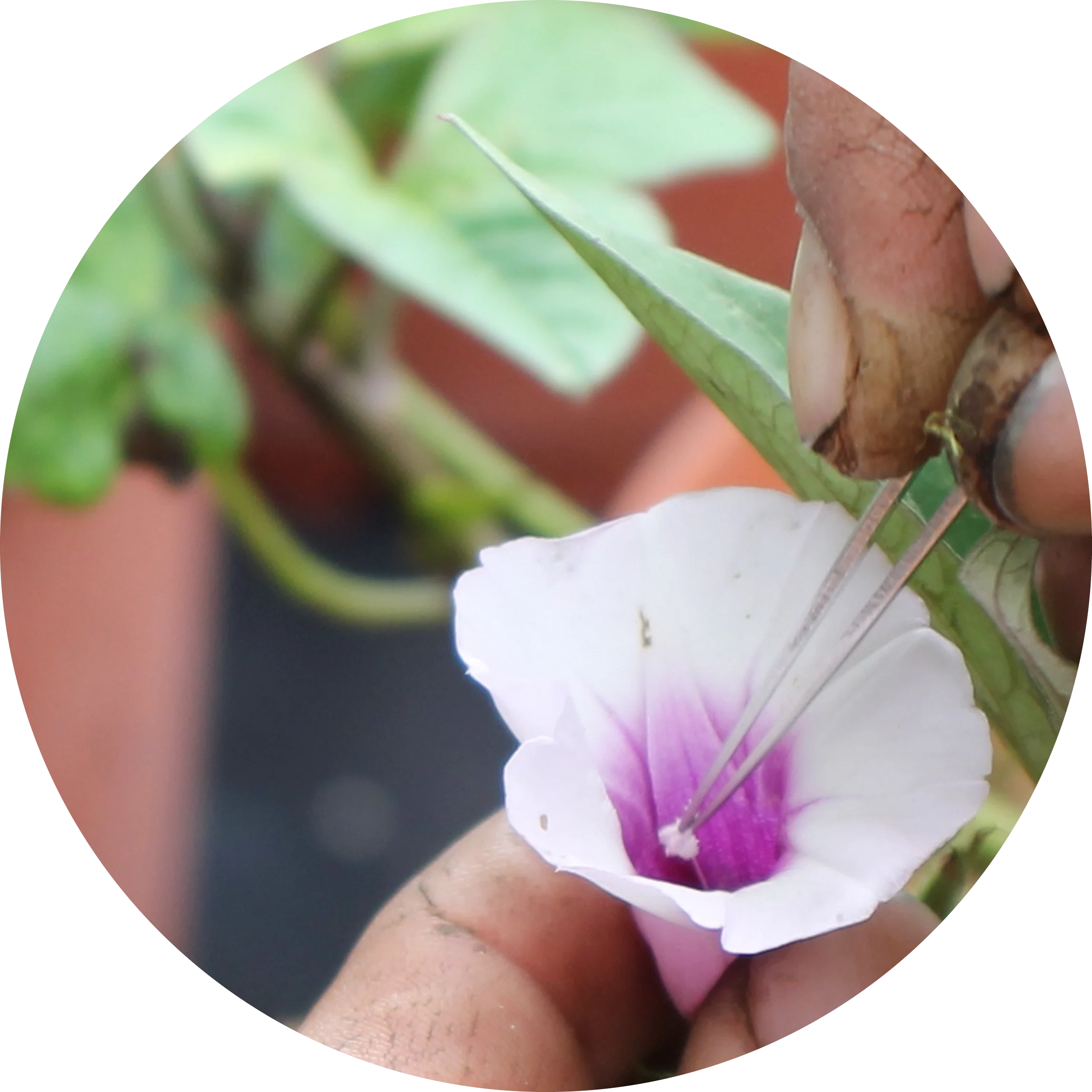 HEADER-ARCH-News Story 1