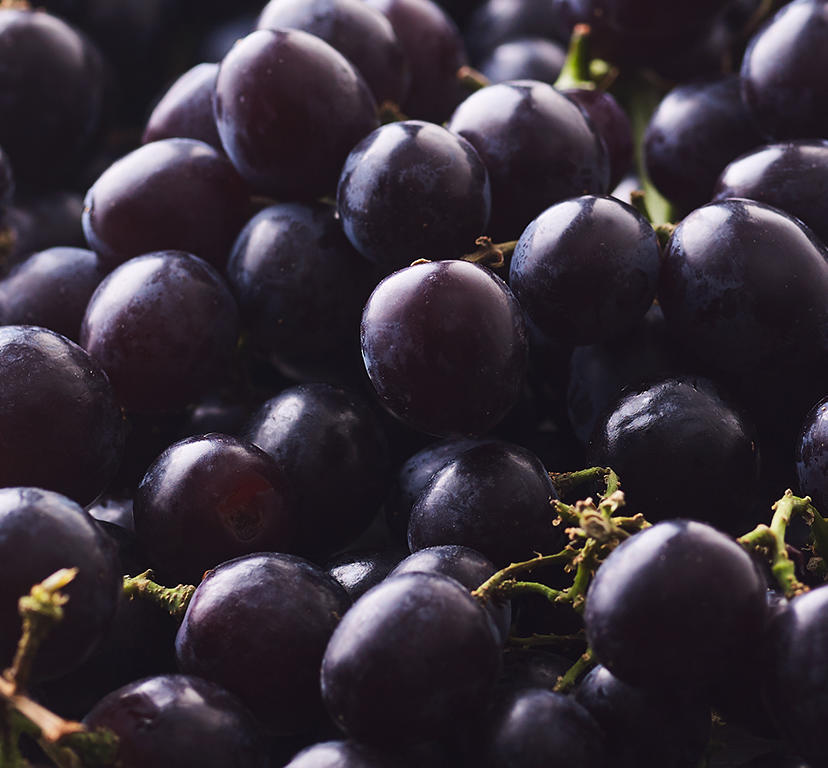 Secna Oterra™ Completes Acquisition of SECNA Natural Ingredients Group S.L
