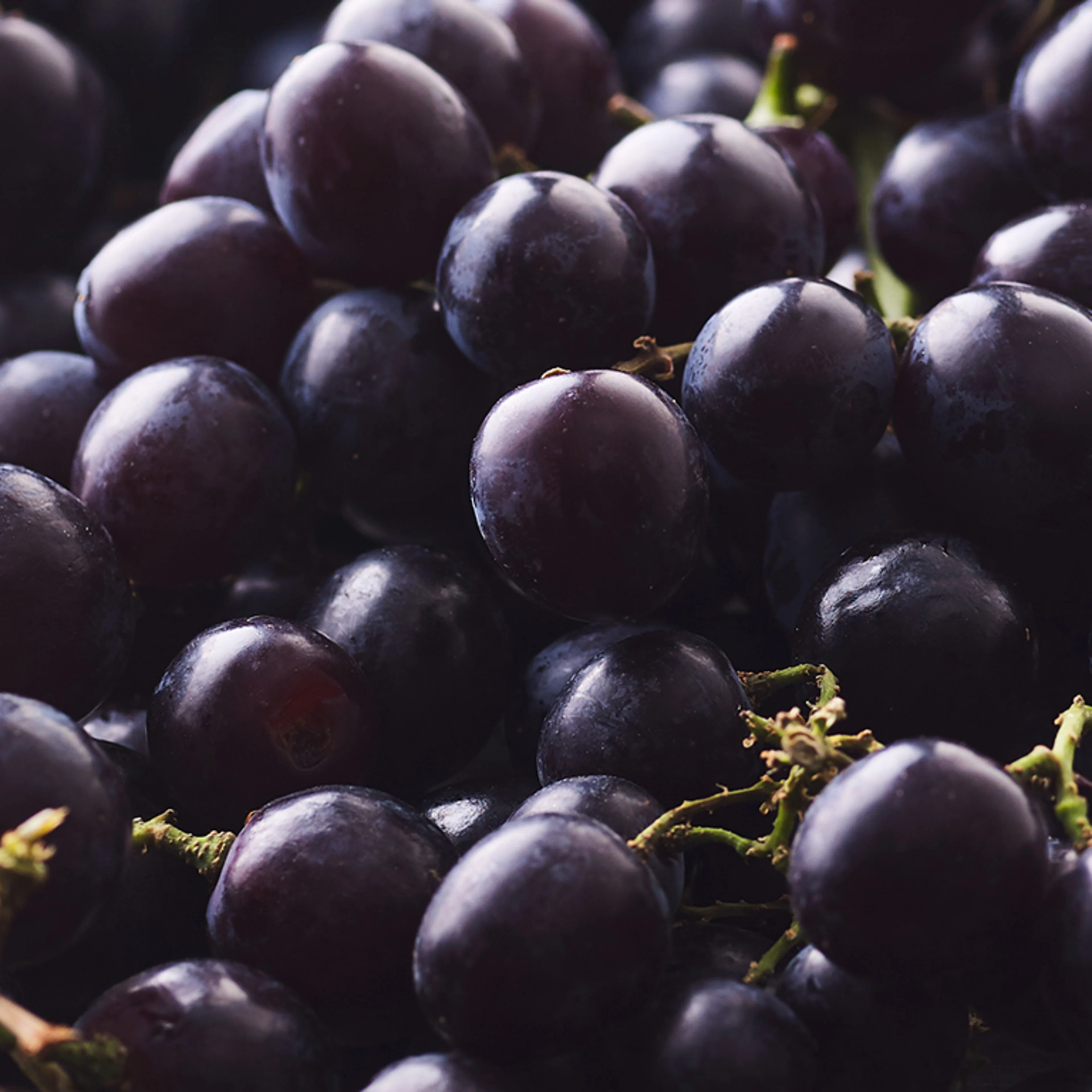 Raw-dark grapes-wallpaper-landscape Arch