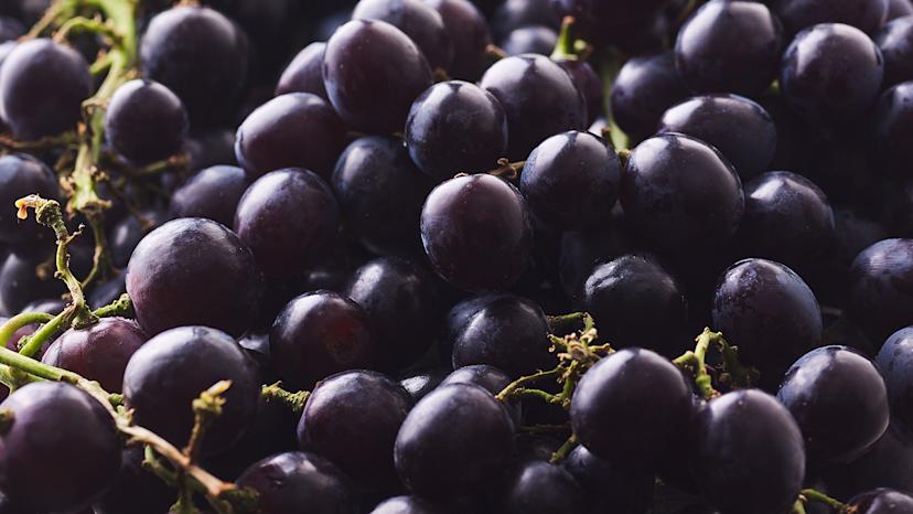 Oterra™ Completes Acquisition of SECNA Natural Ingredients Group S.L