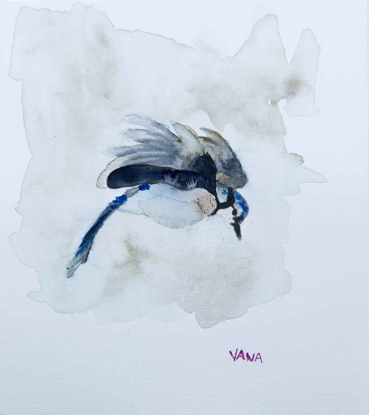 VANA-16-