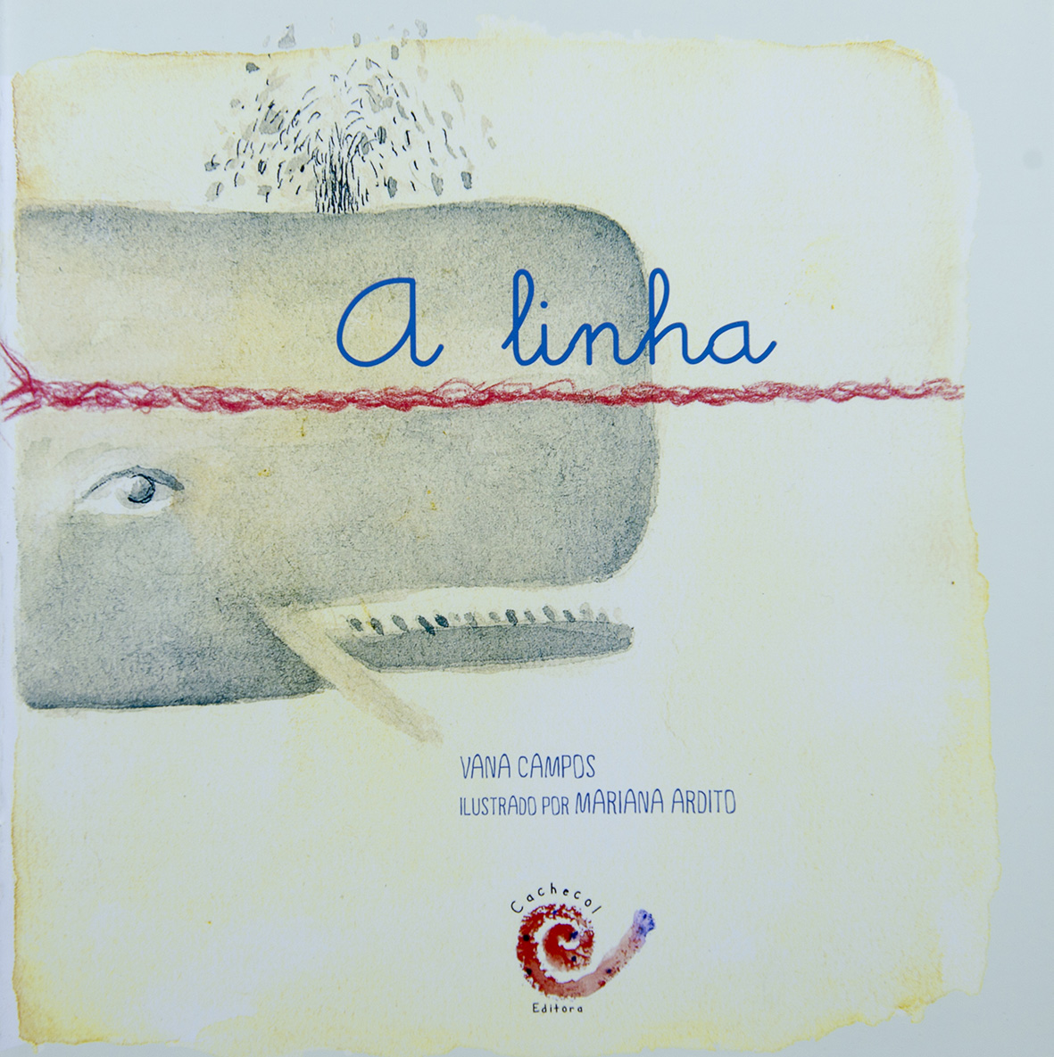 VANA-26-
