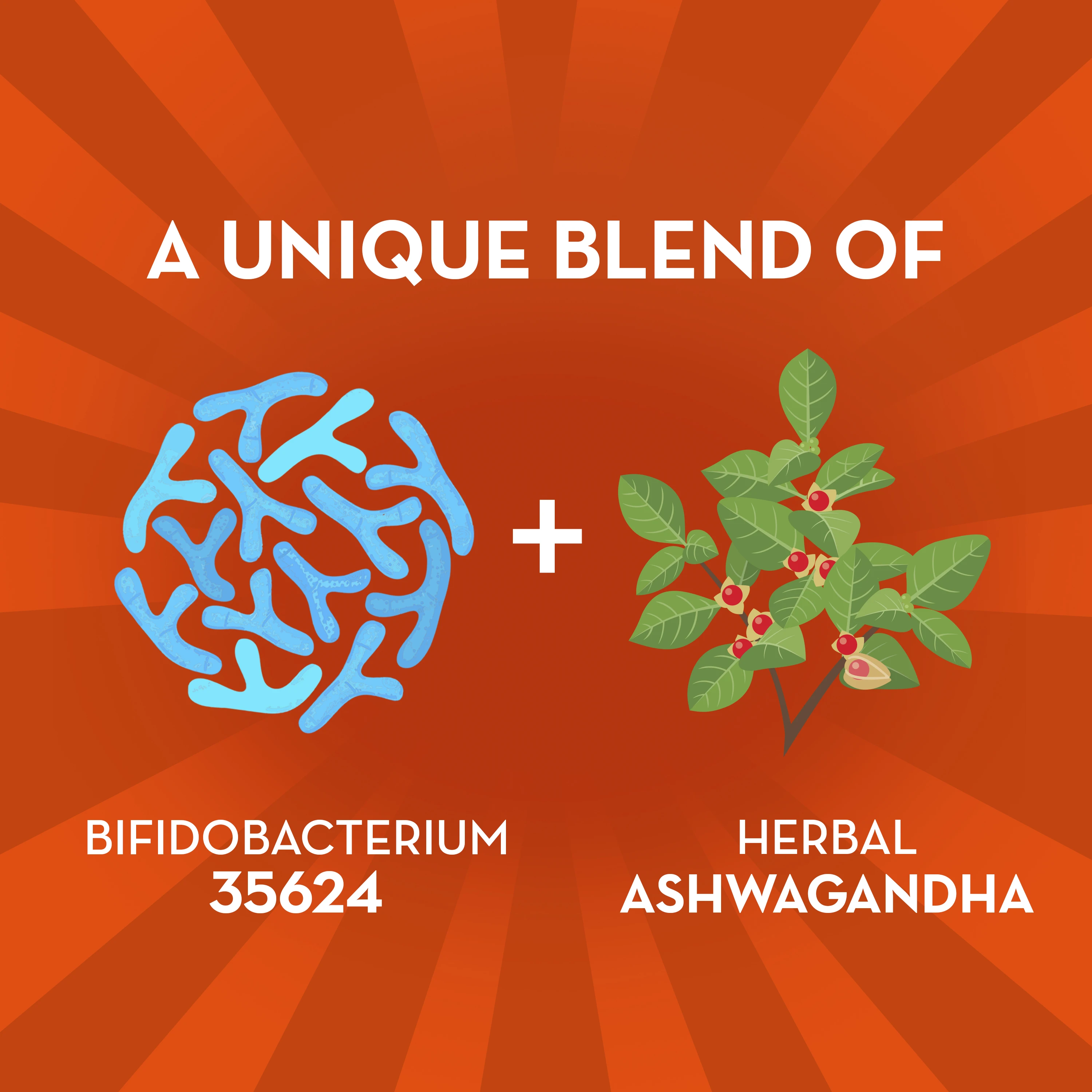 Align Digestive De-Stress Probiotic + Ashwagandha Capsules