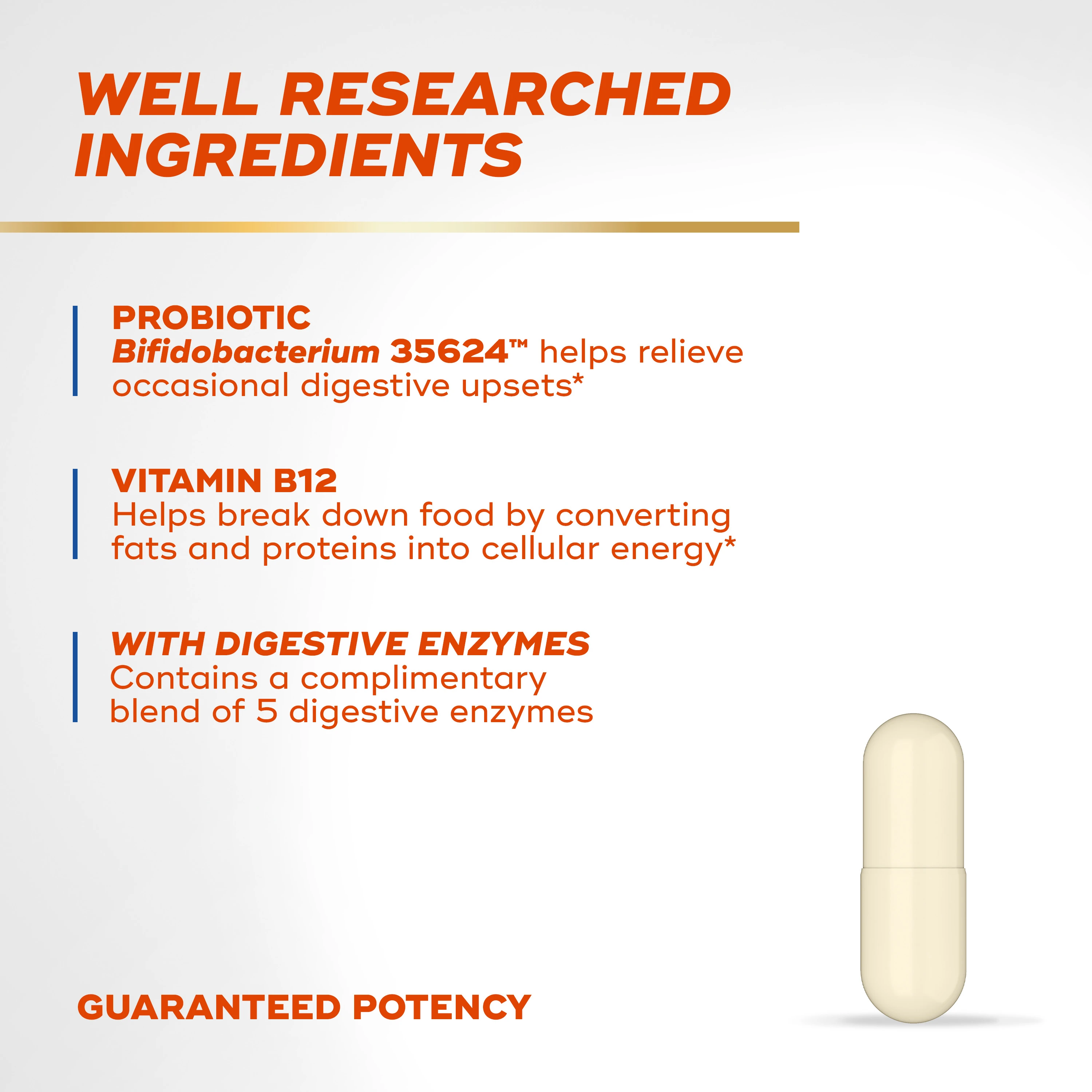 Text "Well Researched Ingredients", "Probiotic Bifidobacterium 35624", "Vitamin B12" and "Digestive Enzymes" and a beige capsule on a light gray background.