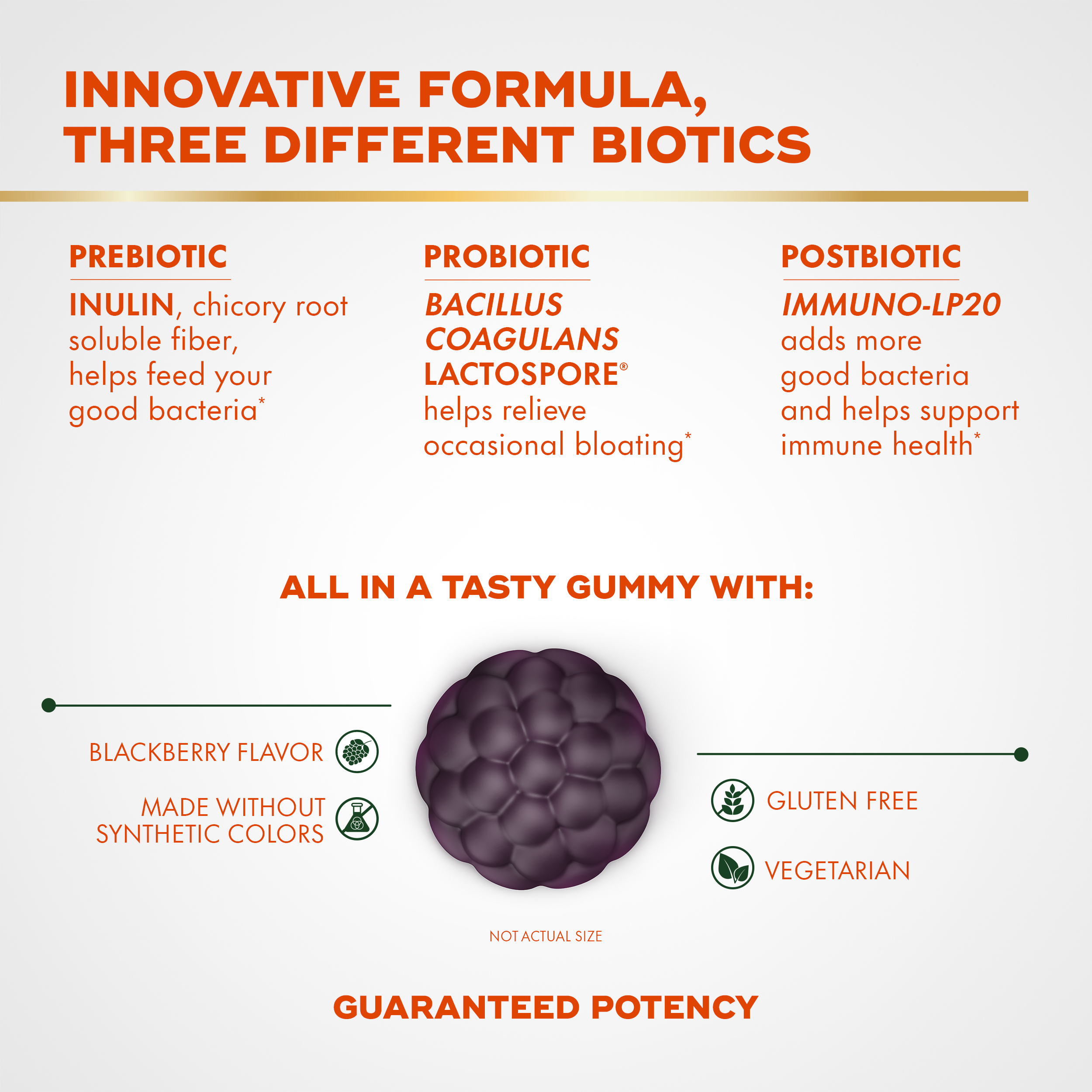 3-in-1 Biotic Gummies for Bloating | Align Probiotic