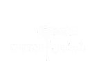 صالون شيفون