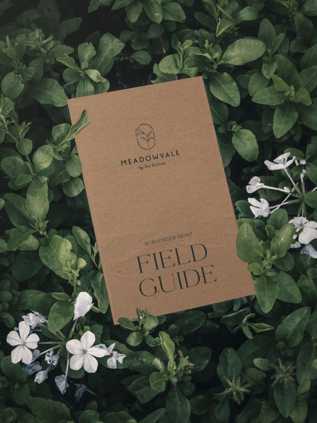 The Meadowvale by the Thames field guide book sitting on a flower bush