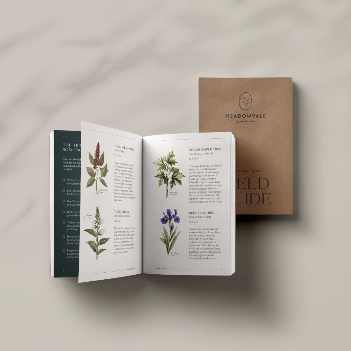 The Meadowvale field guide open to a page with local flowers 