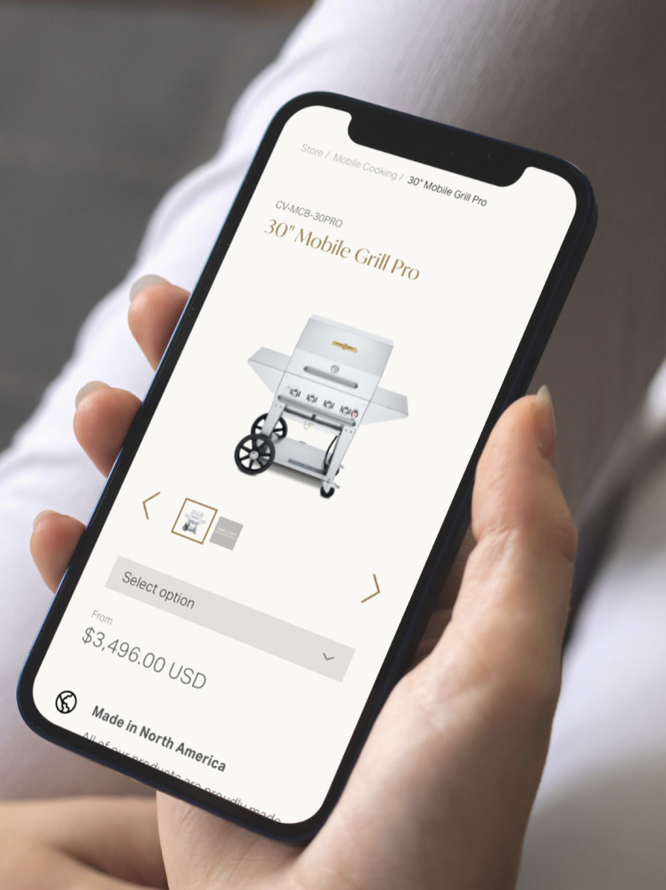 Website shop page viewed on cell phone