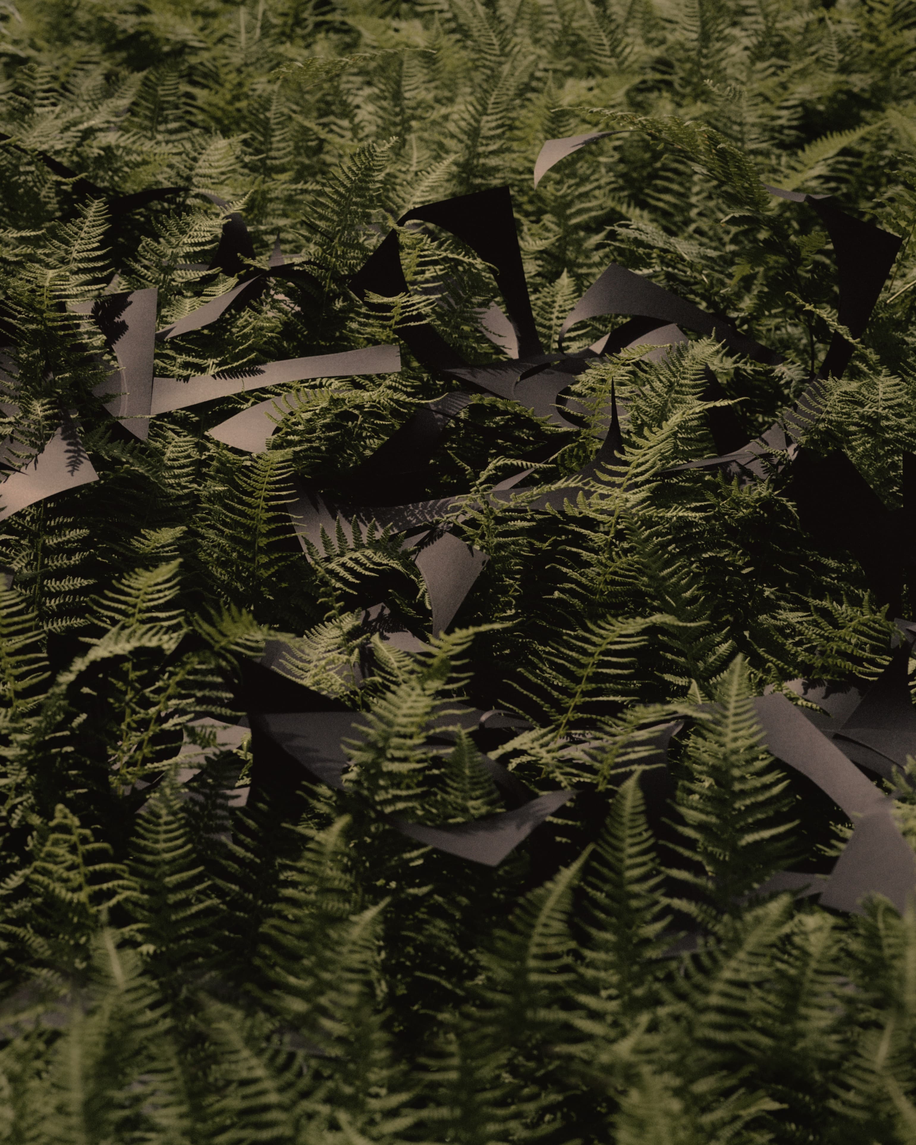 Hiding in Plain Sight