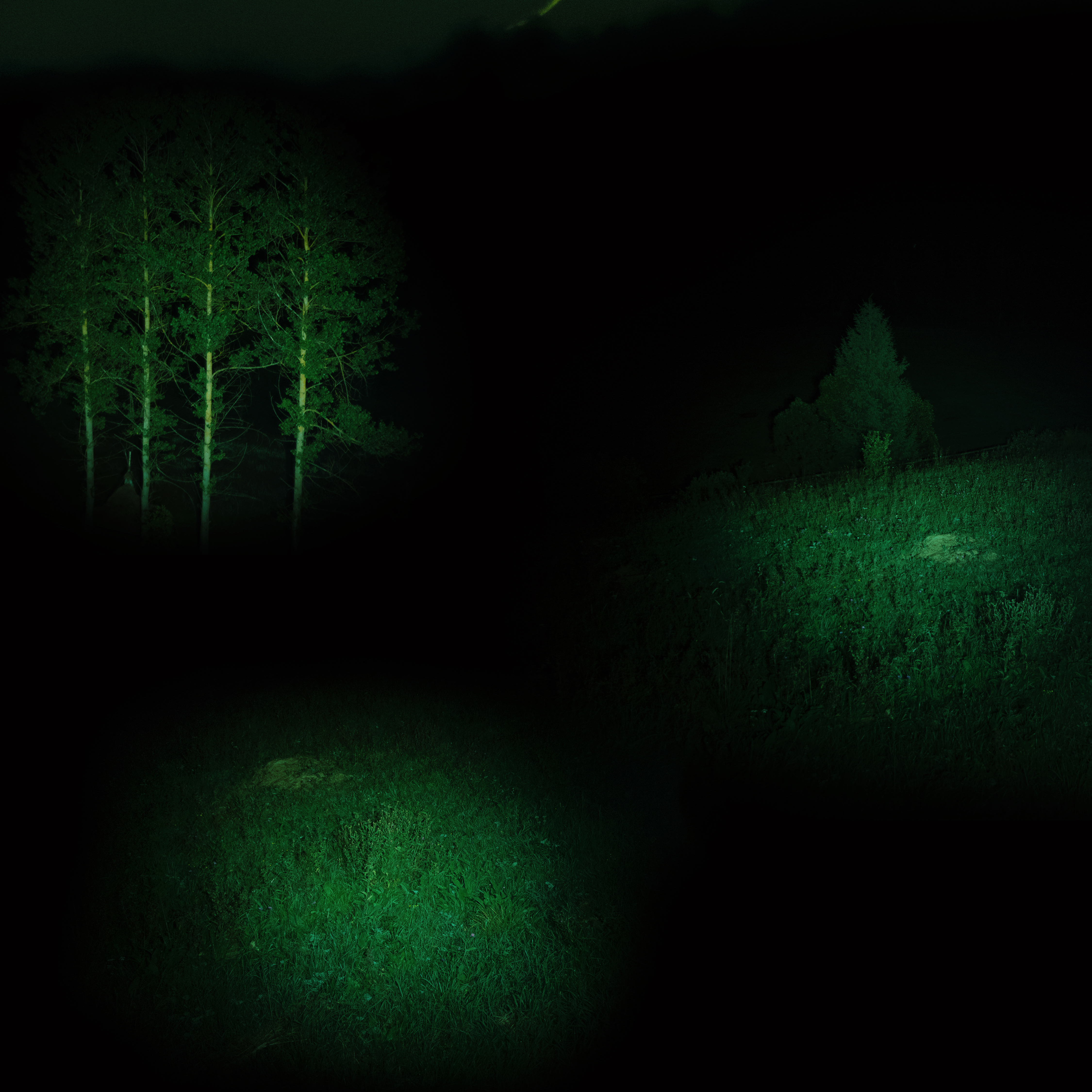 Ethereum is a Dark Forest