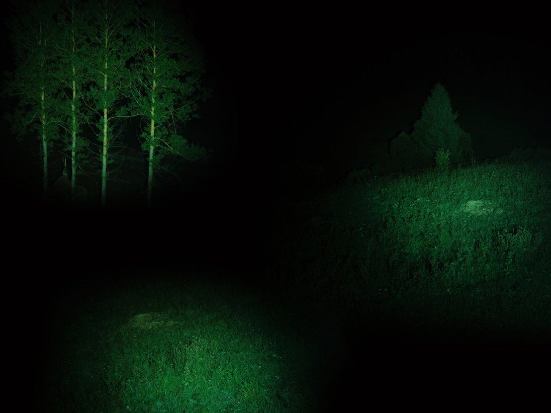 Ethereum is a Dark Forest