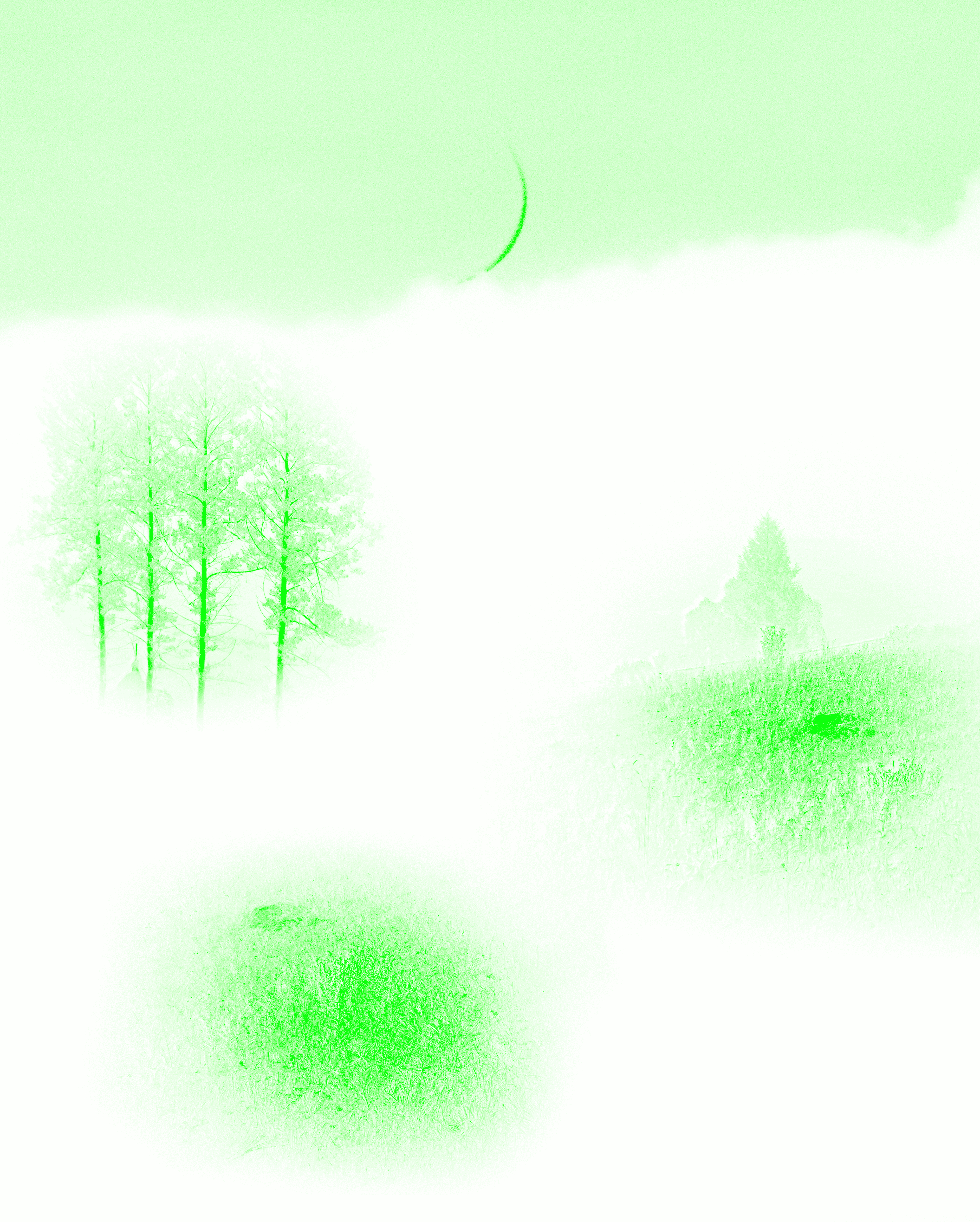 Escaping the Dark Forest