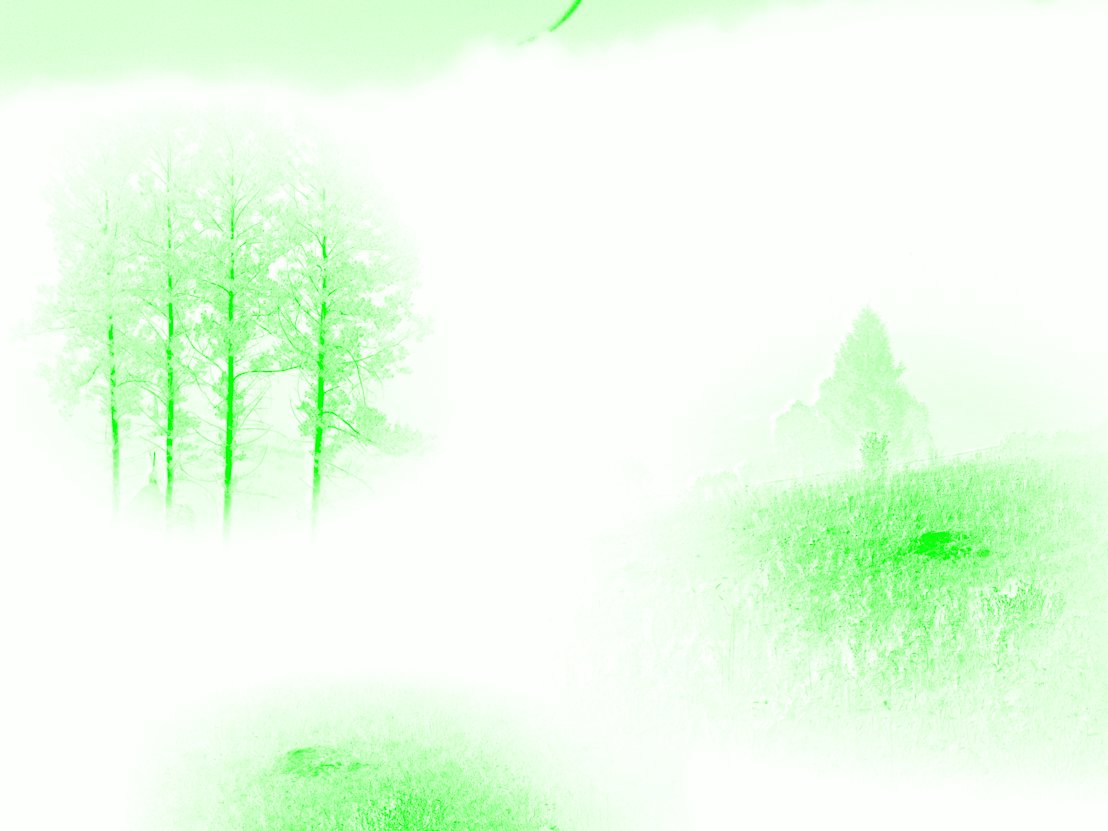Escaping the Dark Forest