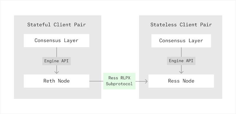 Ress is powered by a custom RLPx P2P subprotocol enabling nodes to fetch all the information needed to statelessly validate a block.
