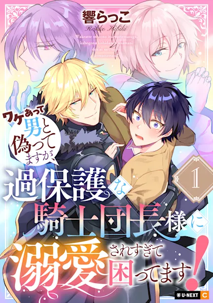 ワケあって男と偽ってますが、過保護な騎士団長様に溺愛されすぎて困ってます！