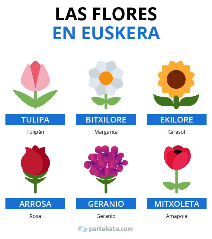 Nombres de las flores en euskera