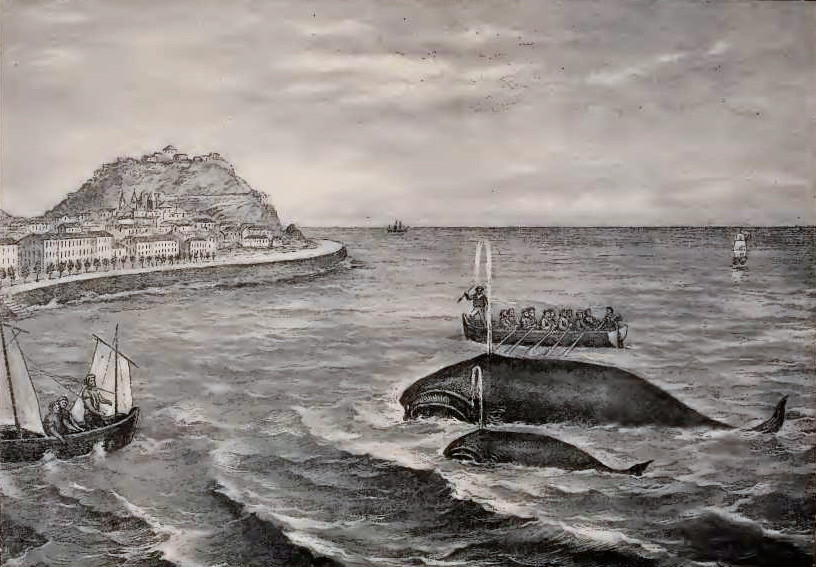 caza de ballenas en el pais vasco