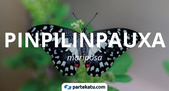 pinpilinpauxa significado