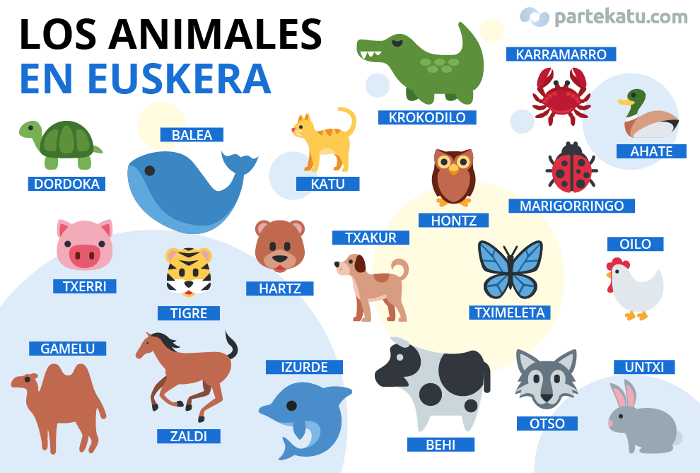 vocabulario de los animales en euskera
