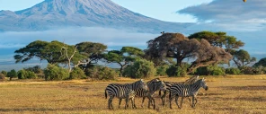 Kenya