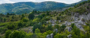 Macedónia do Norte