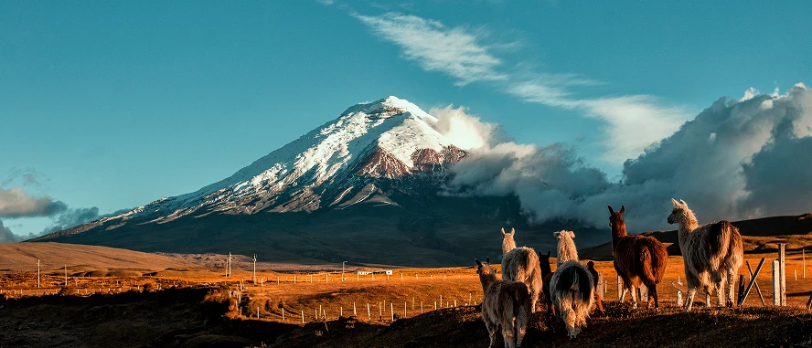 Ecuador