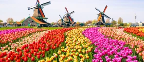 Netherlands