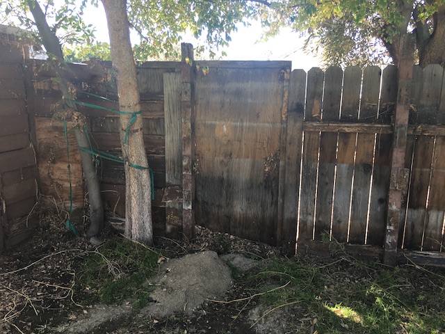 Wood Fence Before