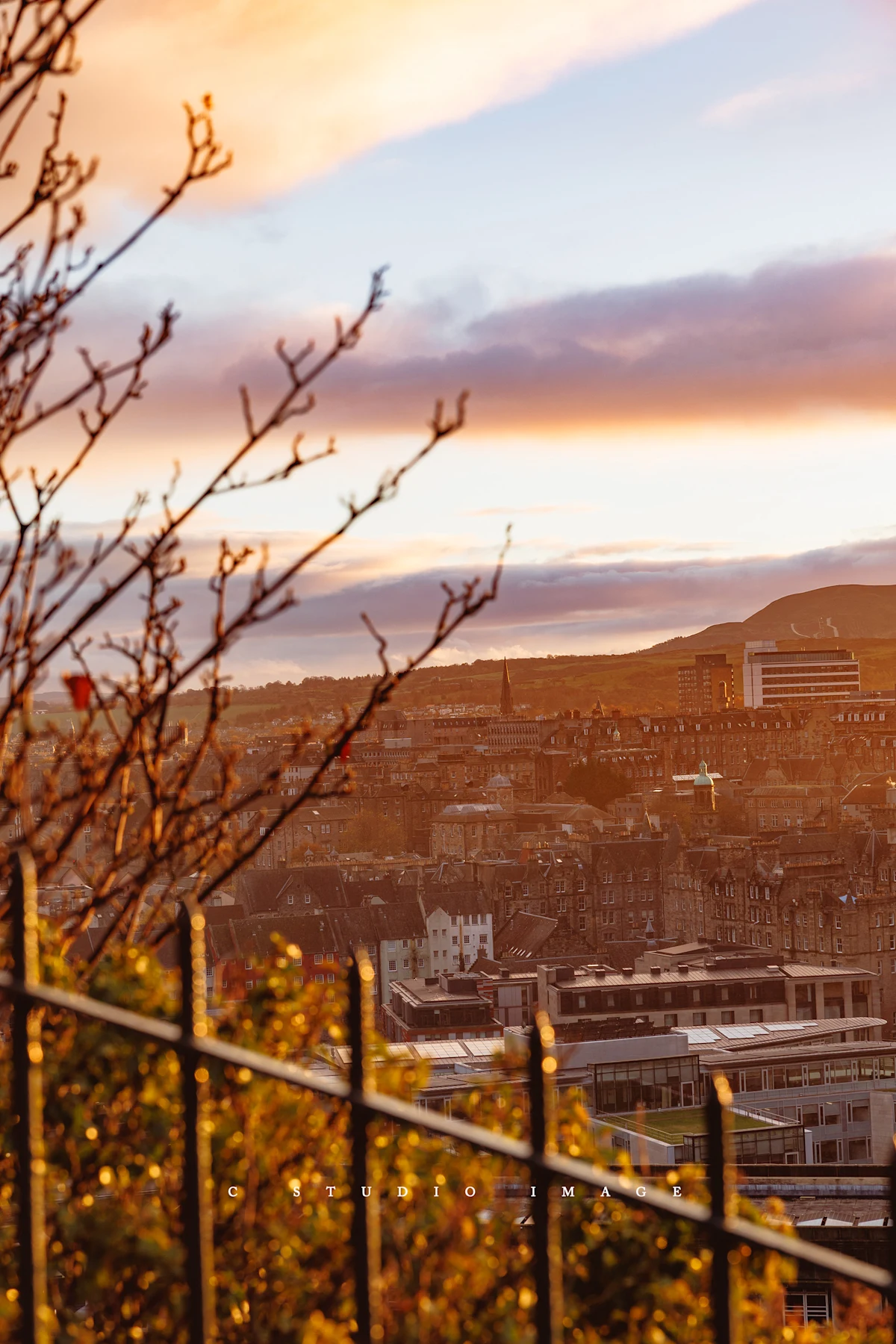 Travel Portraits - Image 13