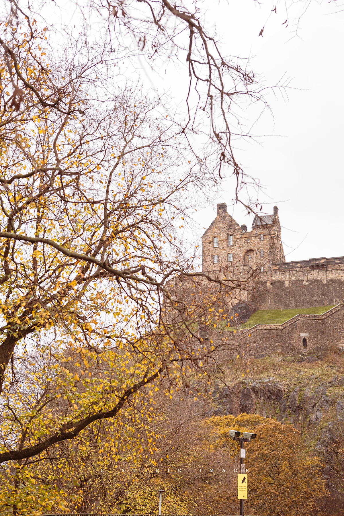 Travel Portraits - Image 15