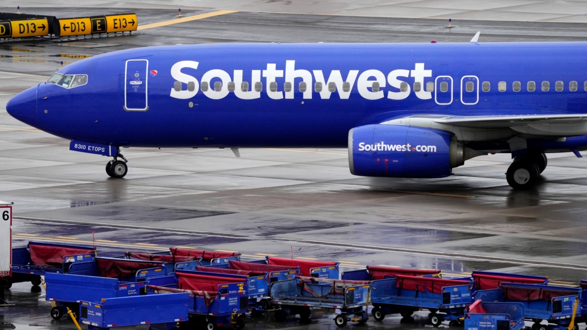 Southwest Passengers Face Delays After Nationwide Grounding