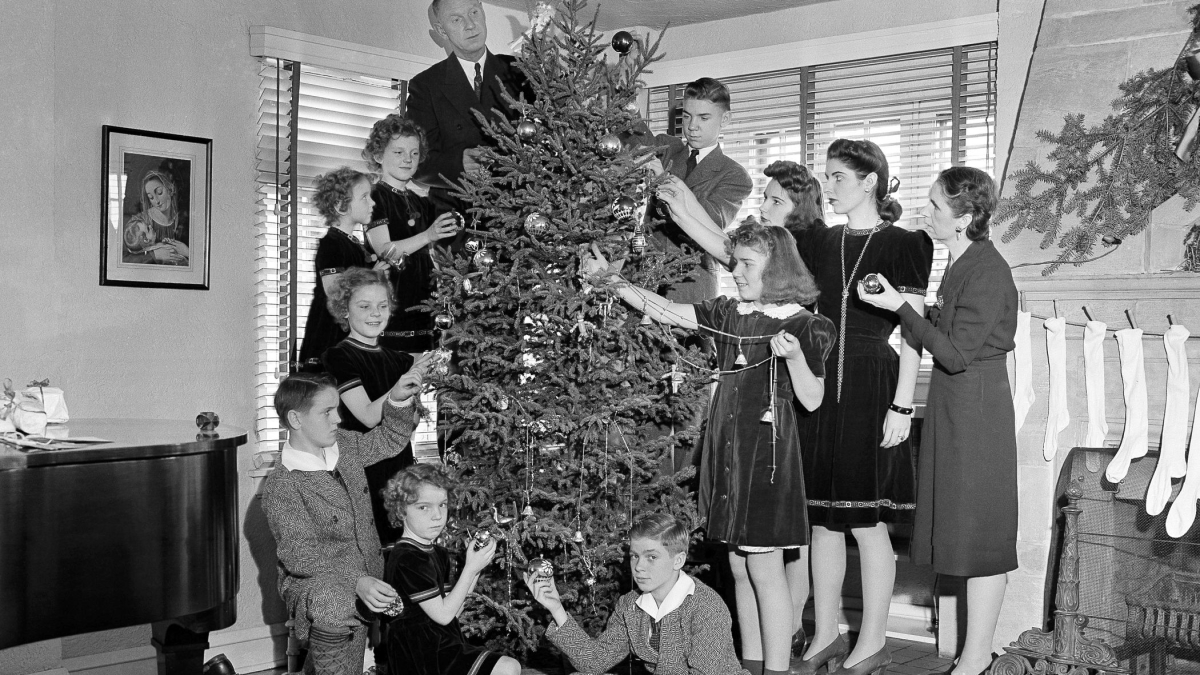 The Rise and Fall of Real Christmas Trees 