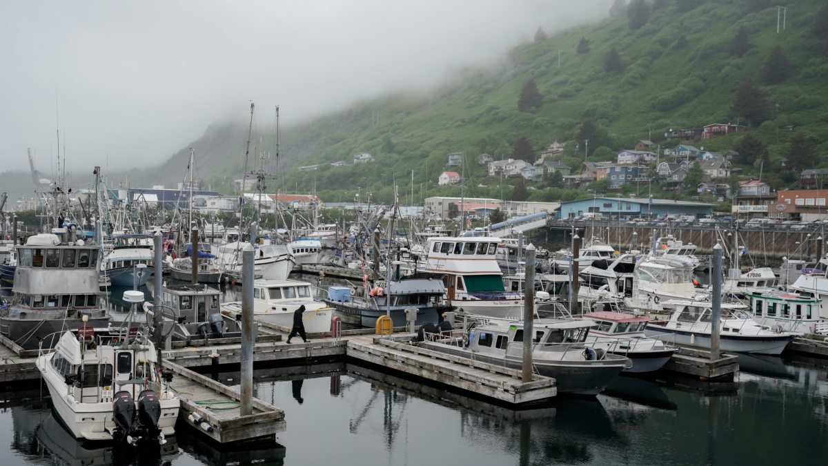 Alaska Fishers Fear Another Bleak Season as Crab Populations Dwindle In Warming Waters