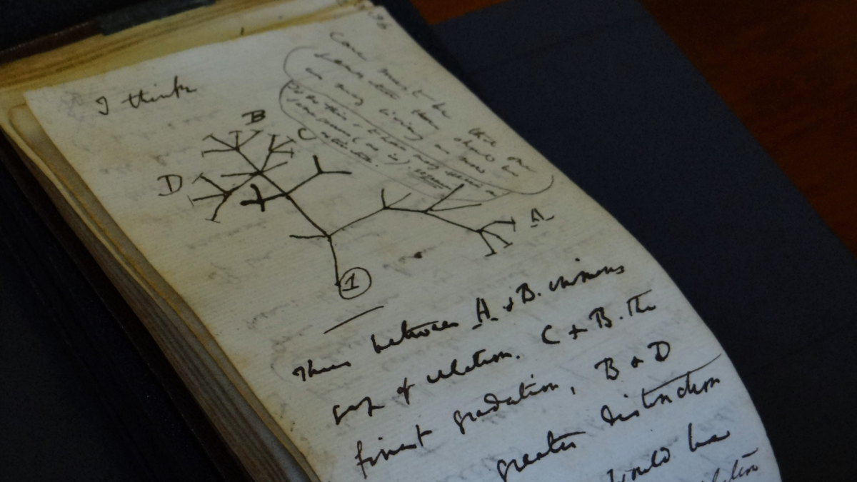 Darwin Notebooks Missing for 20 Years Returned to Cambridge