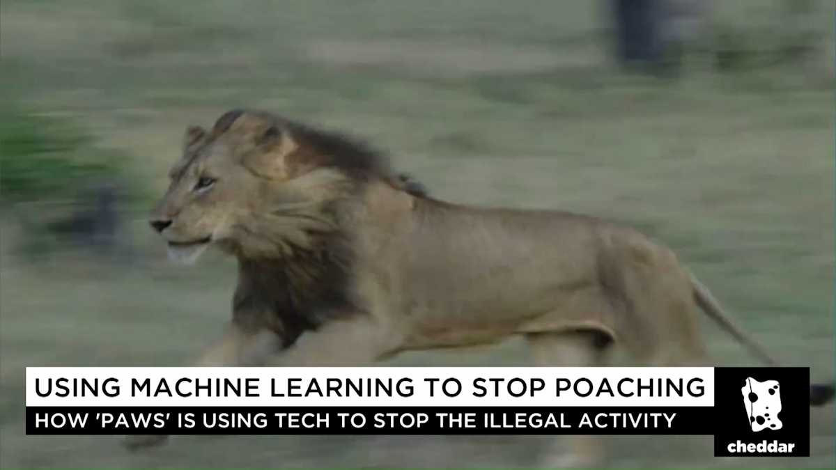 Preventing Poaching with Science