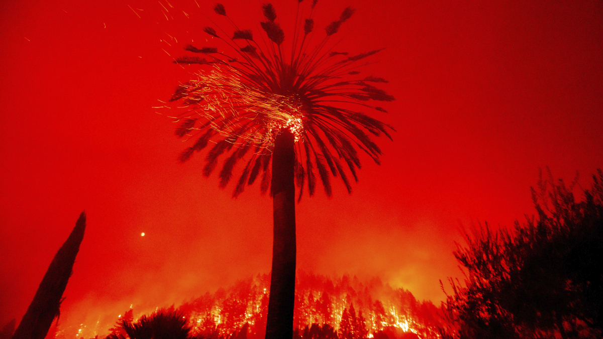 California Milestone: 4 Million Acres Burned in Wildfires