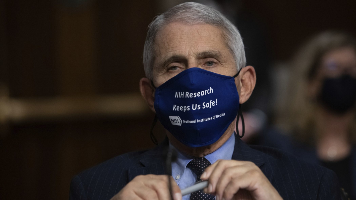 Fauci Suggests Masks at Thanksgiving Gatherings