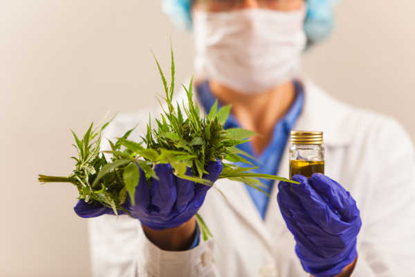 CannaBiz: Jane Technologies Announcement, Green Entrepreneurship, & Pharmaceutical Grade Medical Weed