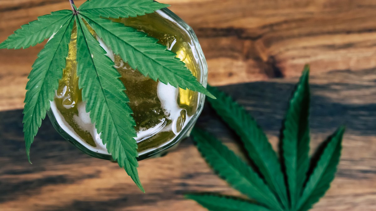 Canopy Postpones Cannabis Beverage Launch, Stoking Concerns About Company Transparency