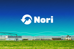Investing in Nori: A Sustainable Solution Against Climate Change