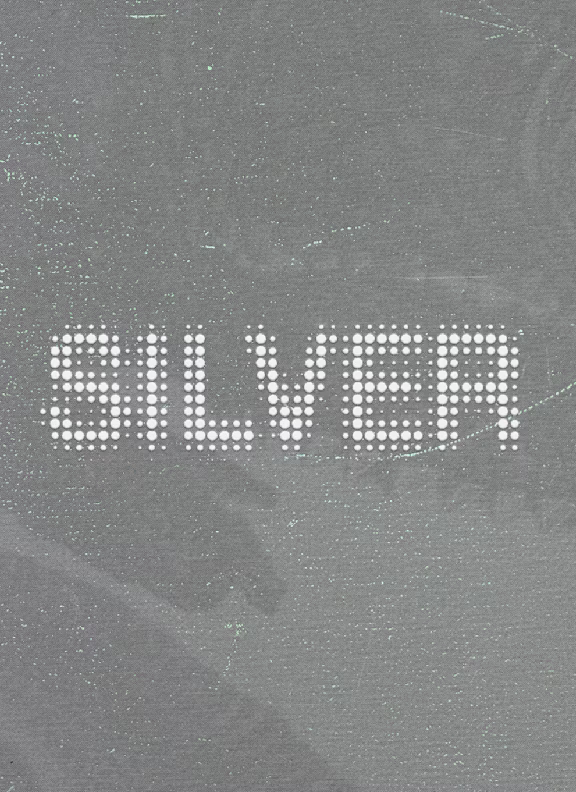 LOYALTY PROGRAM - CHAMELEON CLUB - PAGE - GRID - ROW3 [TABS MODULE] - COL - M4 - TABS - TAB SILVER - CAROUSEL - IMG 1